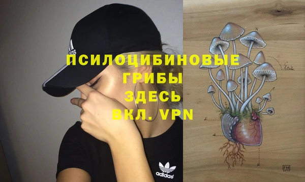 jwh Аркадак
